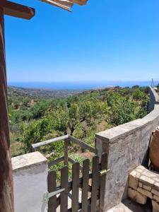 The house on the hill