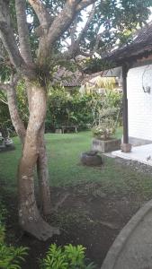 villa Philippe Mimpi 19