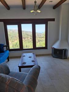 The house on the hill