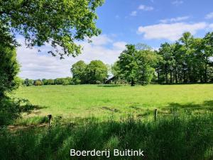 Boerderij Buitink