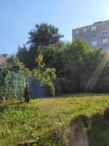 Appartements Appartement sympa a Quimper avec jardin : photos des chambres
