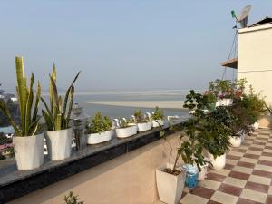 Riverview - Jade Homestay