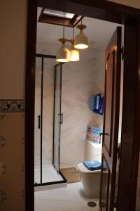 BBA1 Appartement climatisé centre-ville Ferrel