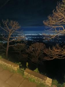 Royal hills kasauli home stay