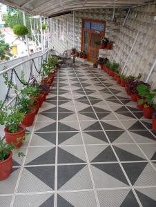 Royal hills kasauli home stay