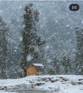 Birni Camping and Mudhouse