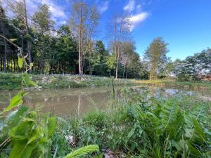 Pensiunea Casa Domnitei