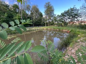 Pensiunea Casa Domnitei