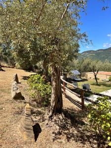 Agriturismo Nonno Ninuccio