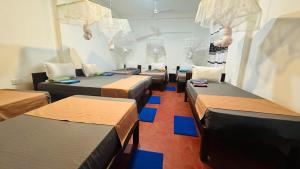 Cashew nut land hostel