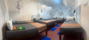 Cashew nut land hostel