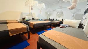 Cashew nut land hostel