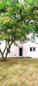 Maisons de vacances Maison en pierre avec jardin a 5 minutes des plages du Cabellou : Maison de Vacances 3 Chambres 