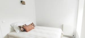 Maisons de vacances Maison en pierre avec jardin a 5 minutes des plages du Cabellou : photos des chambres