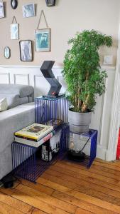 Sunny & stylish 2-bedroom in Viet-Namese district