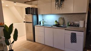 Amsterdam ZaanseSchans House