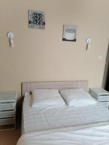 Maisons de vacances Gite le Buron : photos des chambres