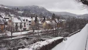Maisons de vacances Gite le Buron : photos des chambres