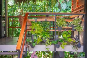 Aloki Wim 4 A pasos de la Playa