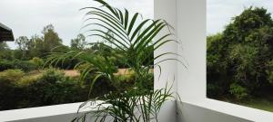 Surya Villa Guesthouse