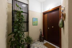 La Buganvillea locazione turistica