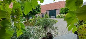 Hermelgemhoeve - Zonnebloem