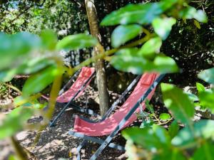 Lodges Kalyva - Nature et Jacuzzi : photos des chambres