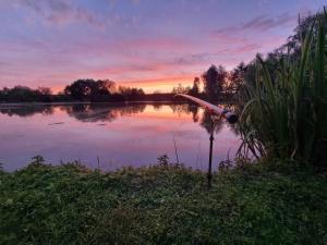 Campings La roulotte de l-etang : photos des chambres