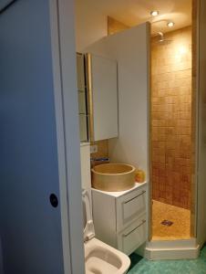 studio centre paris 15e near montparnasse