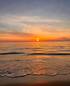 Avela Escape Apartments