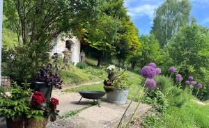 Black Pearl - Blockhaus inmitten der Natur