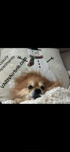 The Portal Infinity pool and barbecue