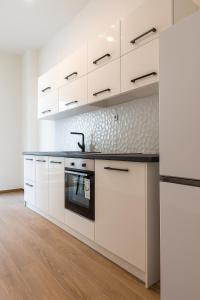 Spacious 2-Bedroom City Center Apartment with Free Easy Parking