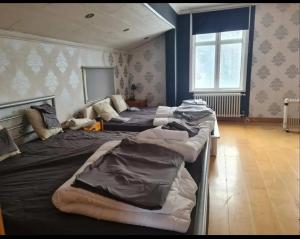 Large villa with fireplace North Sweden