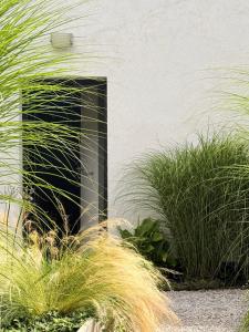 La Suite (Ô) Wood & Chic