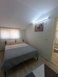 Zeytin apart, Daire 10