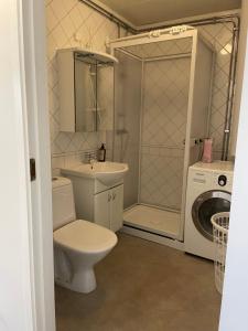 Mysiga lägenheten Borlänge City