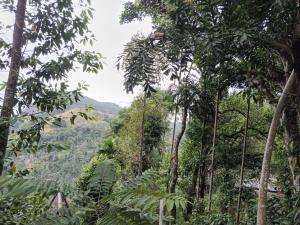 Ella nature hostel