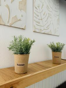 Polivios Apartment C