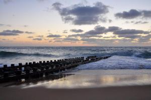 Appartements havre de paix : Appartement 1 Chambre