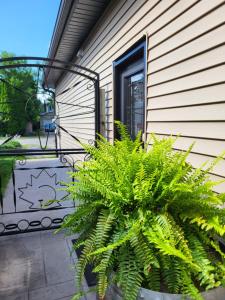 Cozy Suite with HOT TUB & Highspeed Internet