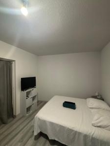 Appartements Studio centre ville proche gare : photos des chambres
