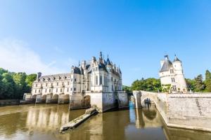 Appartements Beautiful suite in a historical castle in Loire Valley : photos des chambres
