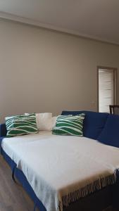 Spacious apartment by the park