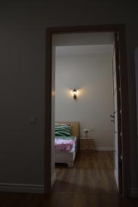 Spacious apartment by the park