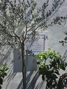 Dolomiten Lounge - moderno con parcheggio privato