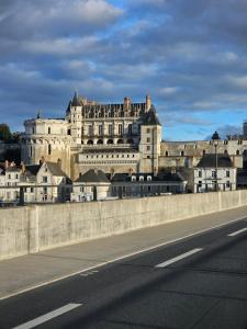 Appartements Amboise centre ville - Cocon Royal a deux pas du Chateau : photos des chambres
