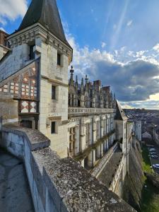 Appartements Amboise centre ville - Cocon Royal a deux pas du Chateau : photos des chambres