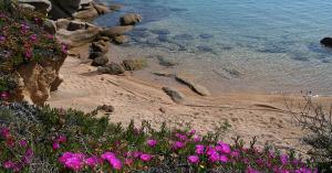 Appartamenti Galatea img27