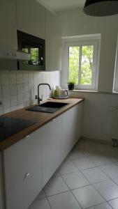 Wohnung Chemnitz-Zentrum